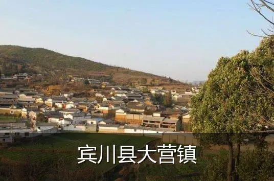 宾川县大营镇